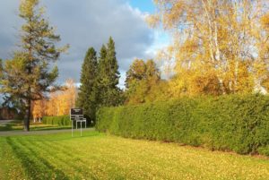 Read more about the article Peräpohjolan Opiston rehtori Tatja Karvonen Kansanopistoyhdistyksen hallituksen jäseneksi