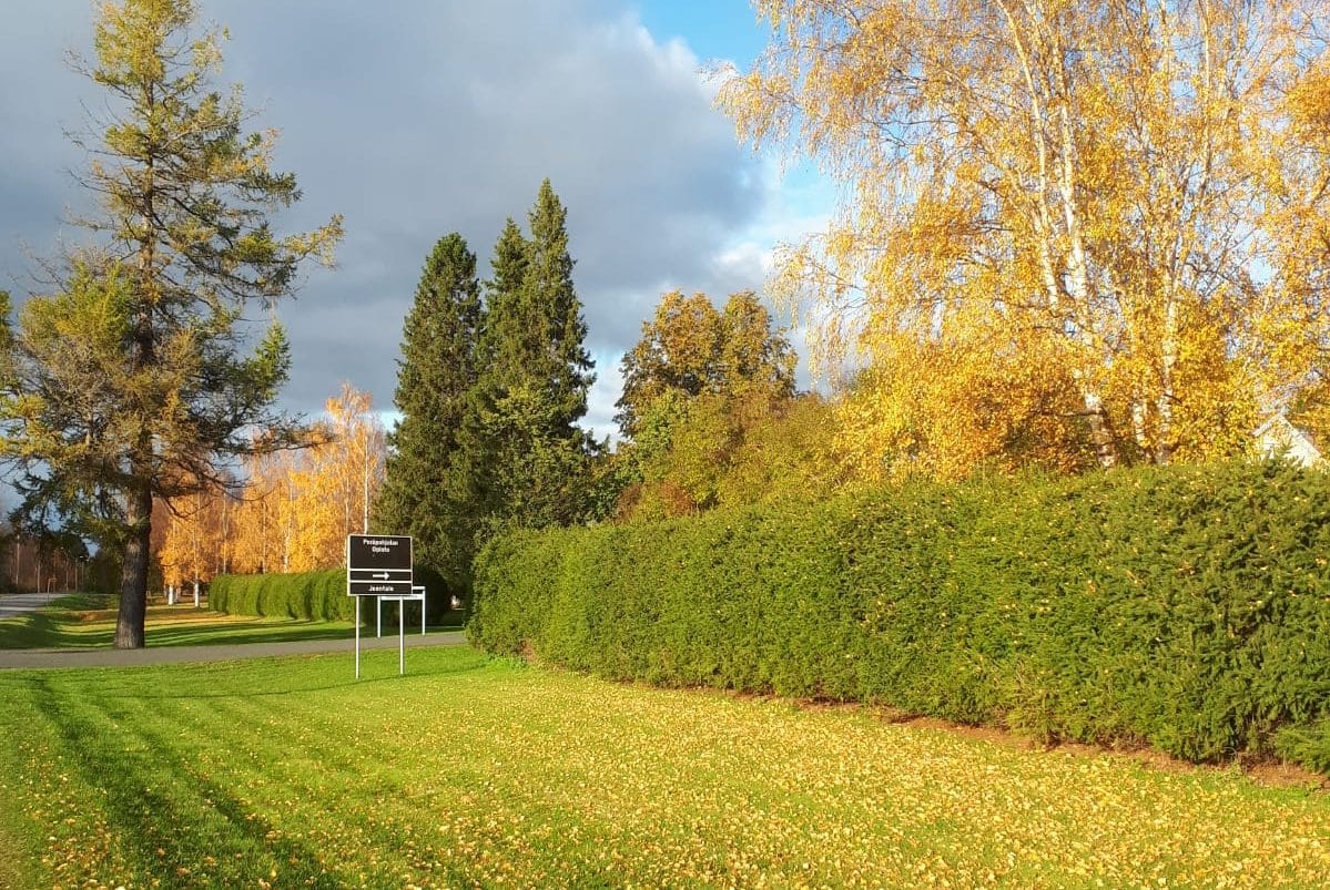 You are currently viewing Peräpohjolan Opiston rehtori Tatja Karvonen Kansanopistoyhdistyksen hallituksen jäseneksi