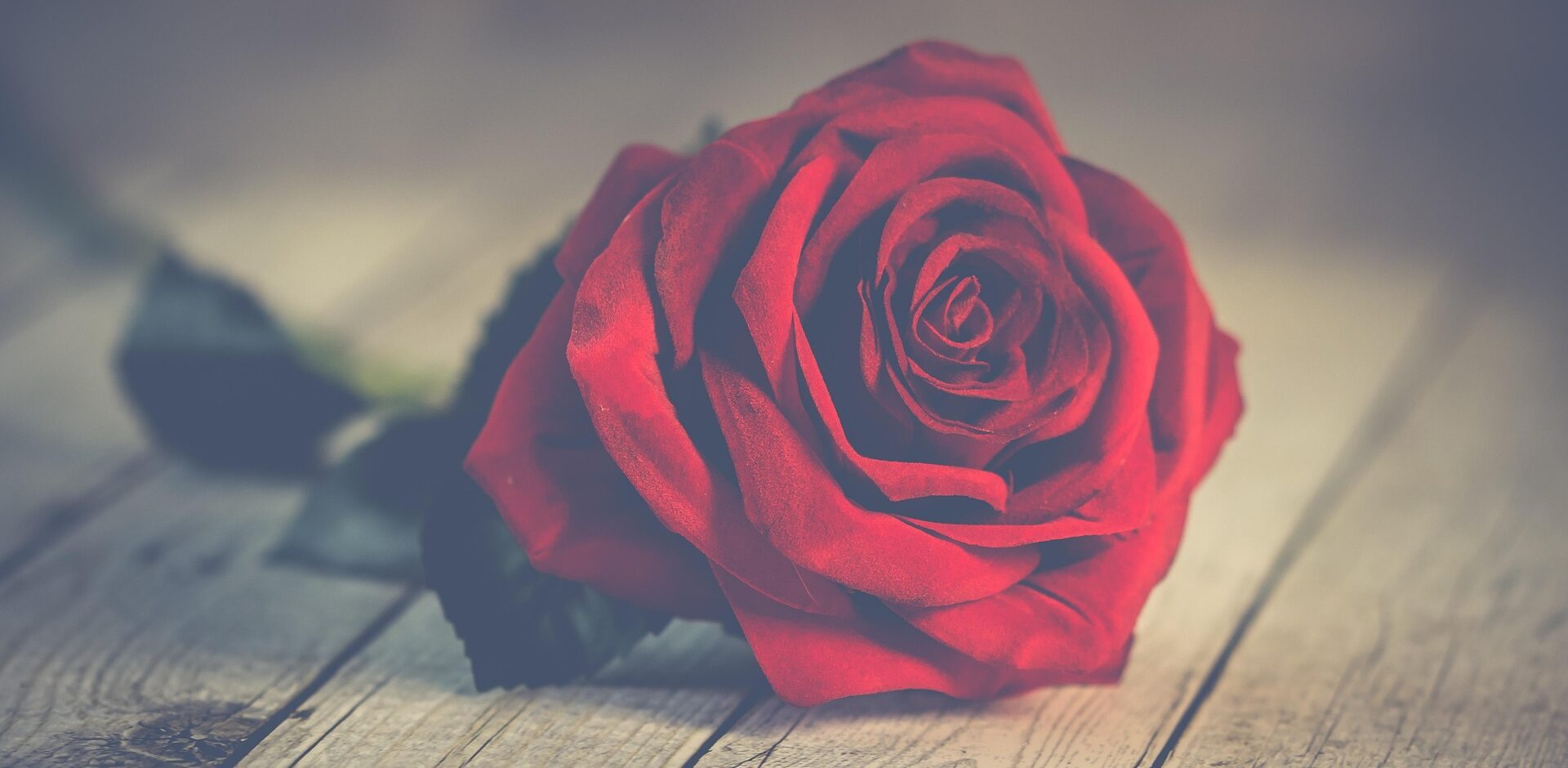 You are currently viewing Peräpohjolan Opiston syksyn 2025 aikana ammattiin valmistuneet