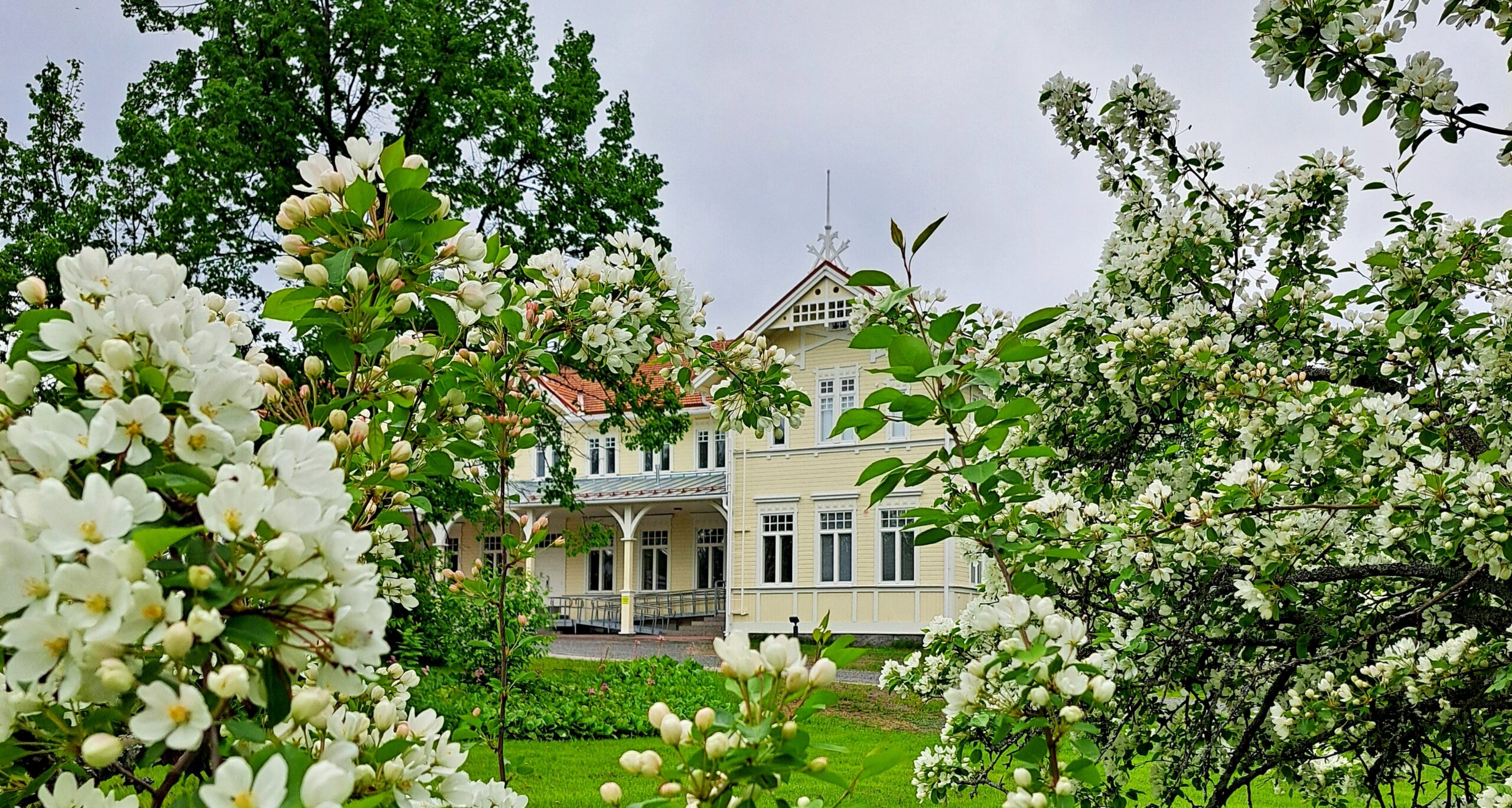Read more about the article Suomen kielen toiminnallinen kesäkurssi